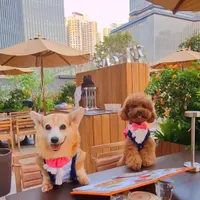 SandyChan2774